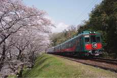 こうや花鉄道天空の写真