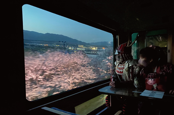 車窓からの夜桜の写真