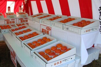 富有柿品評会