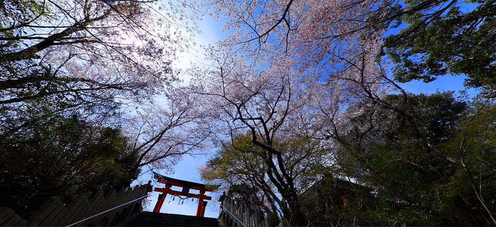 慈尊院から丹生官省符神社への石段