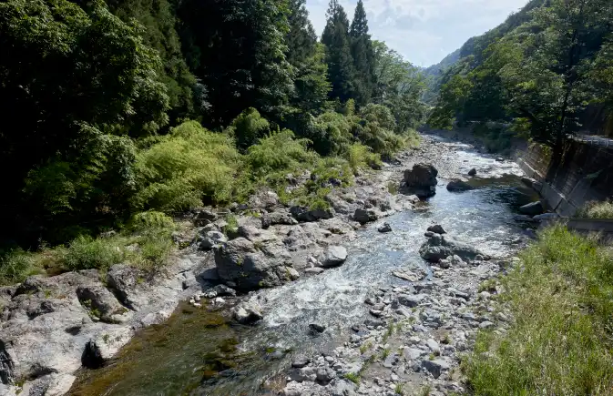 Tamagawa Gorge